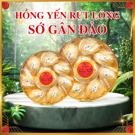 Hồng Yến Rút Lông Sớ Gân Đảo