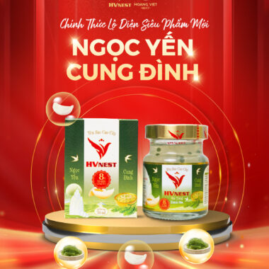 Ngọc Yến Cung Đình HVNest – Siêu Phẩm Yến Chưng Thứ 10 Ra Mắt 2026